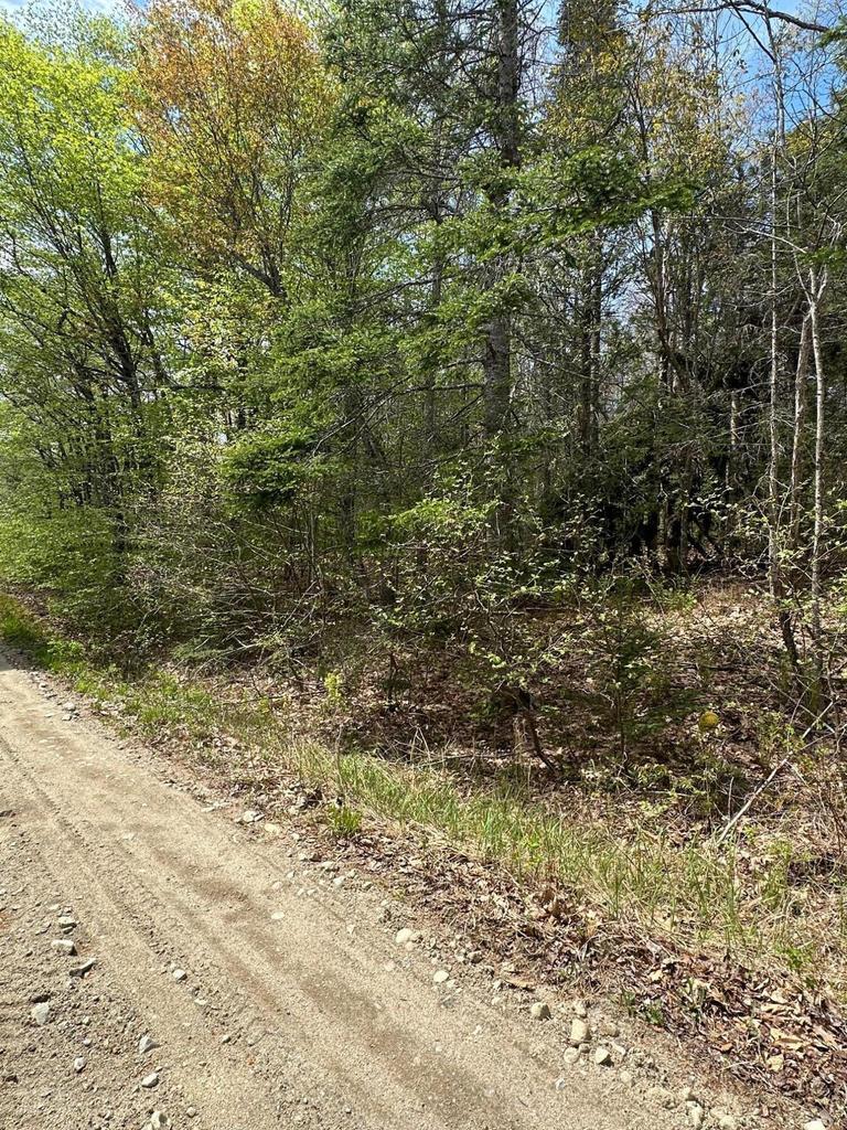 Lot 2 Morse District Road Road N Steuben ME 04680