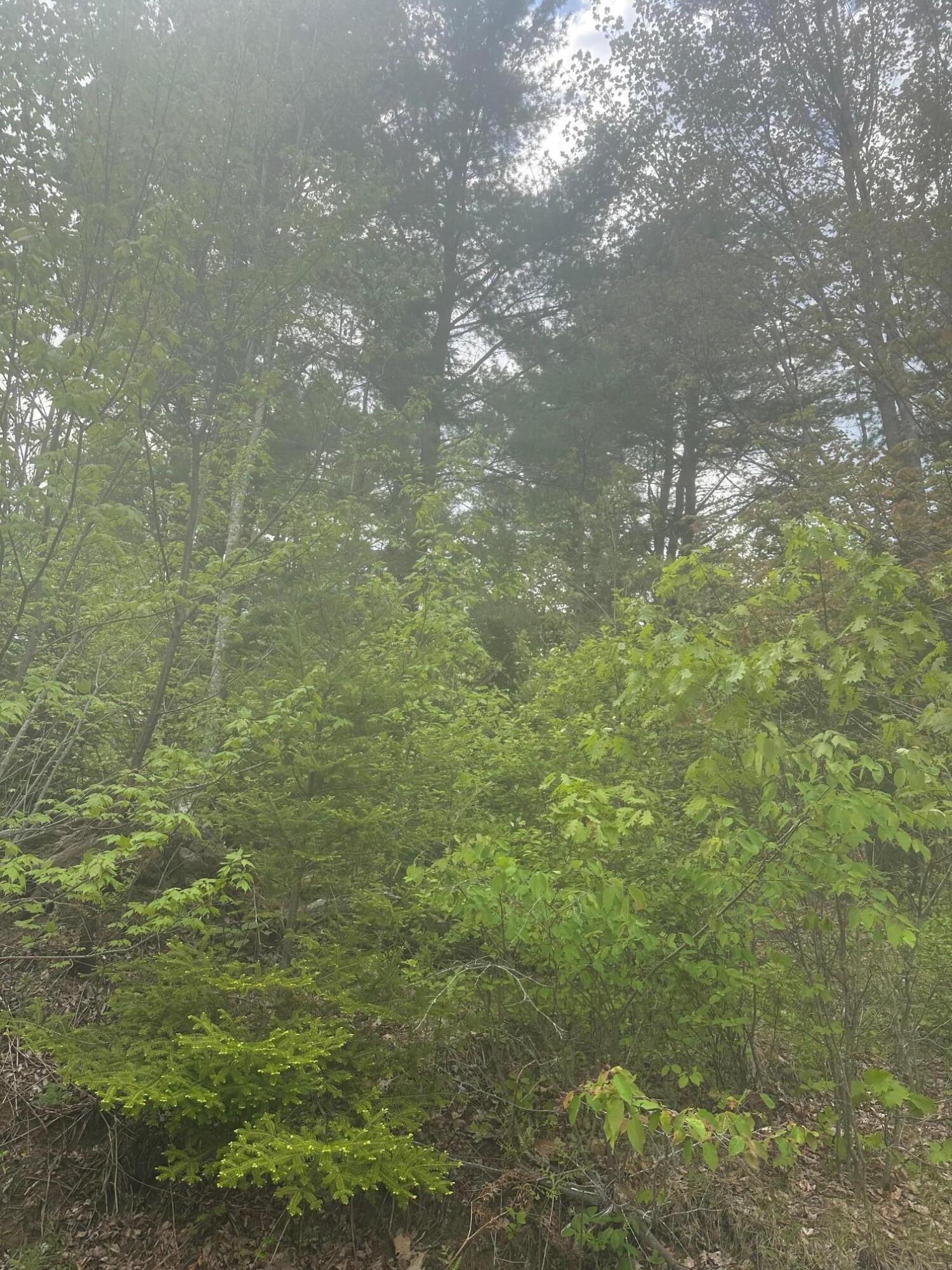 Lot 2 Morse District Road Road N Steuben ME 04680