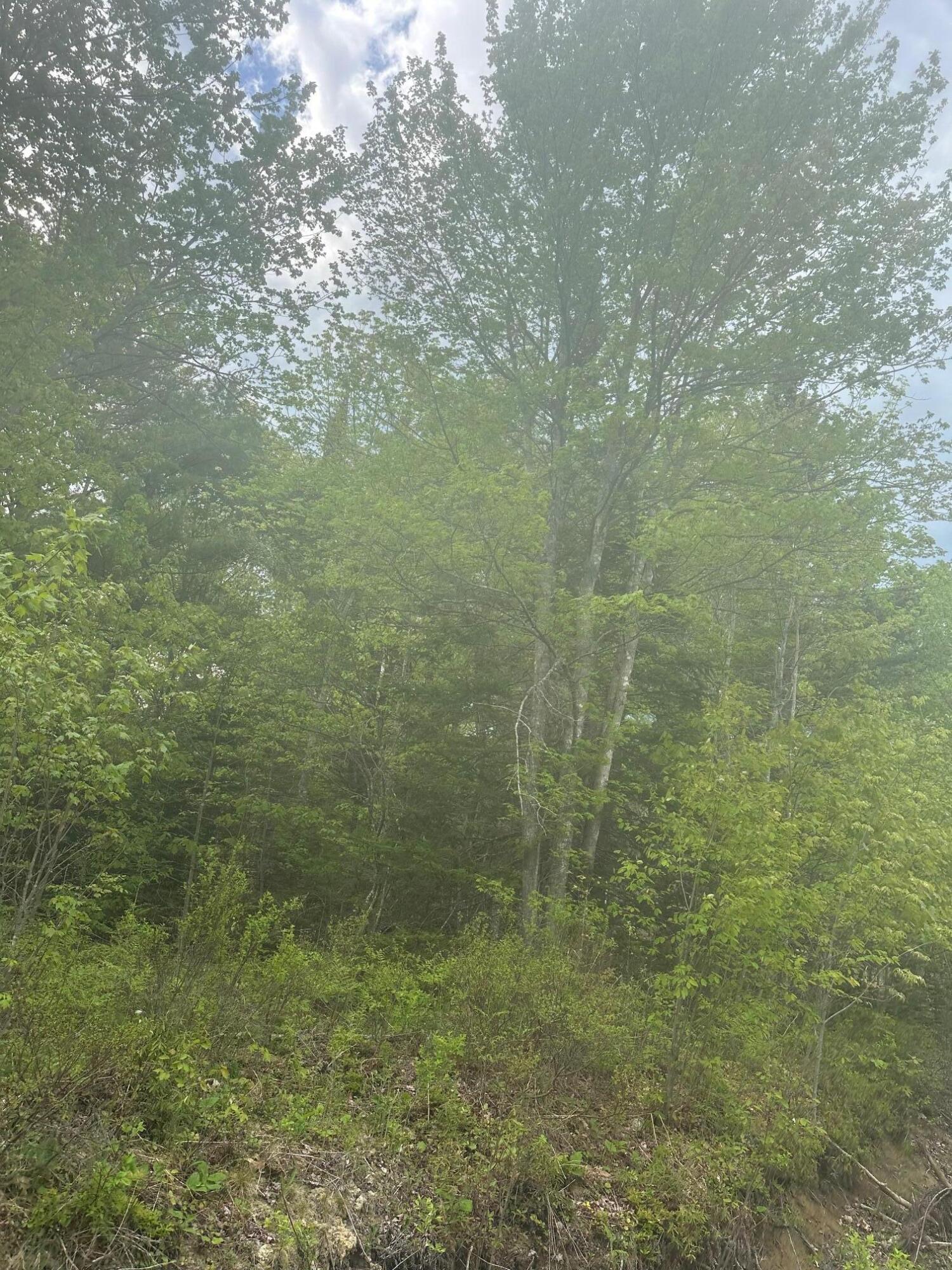 Lot 2 Morse District Road Road N Steuben ME 04680