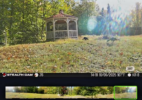 20 Kittridge Brook Road West Paris ME 04289