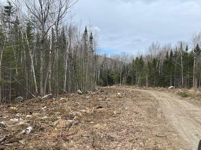 Lot 117 Big Snow Way Rangeley ME 04970