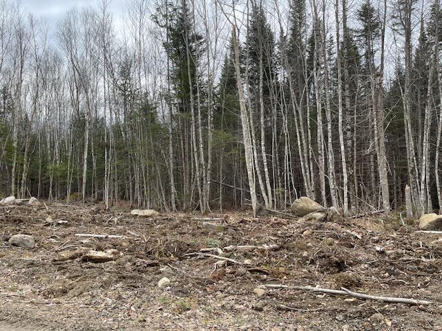Lot 117 Big Snow Way Rangeley ME 04970