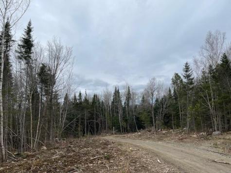 Lot 117 Big Snow Way Rangeley ME 04970