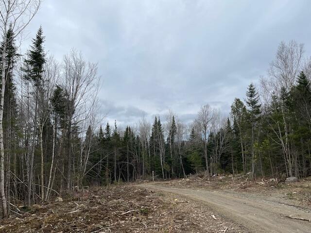 Lot 117 Big Snow Way Rangeley ME 04970