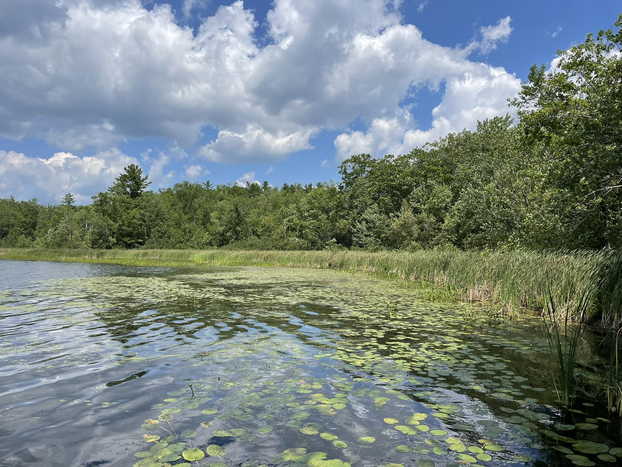 Lot 6 Holmes Brook Lane Winthrop ME 04364