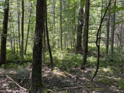 Lot 6 Holmes Brook Lane Winthrop ME 04364