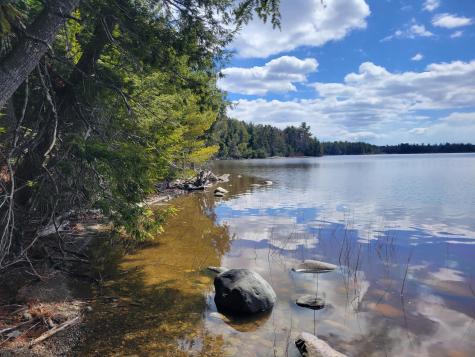 20 Moose Trail Waltham ME 04605