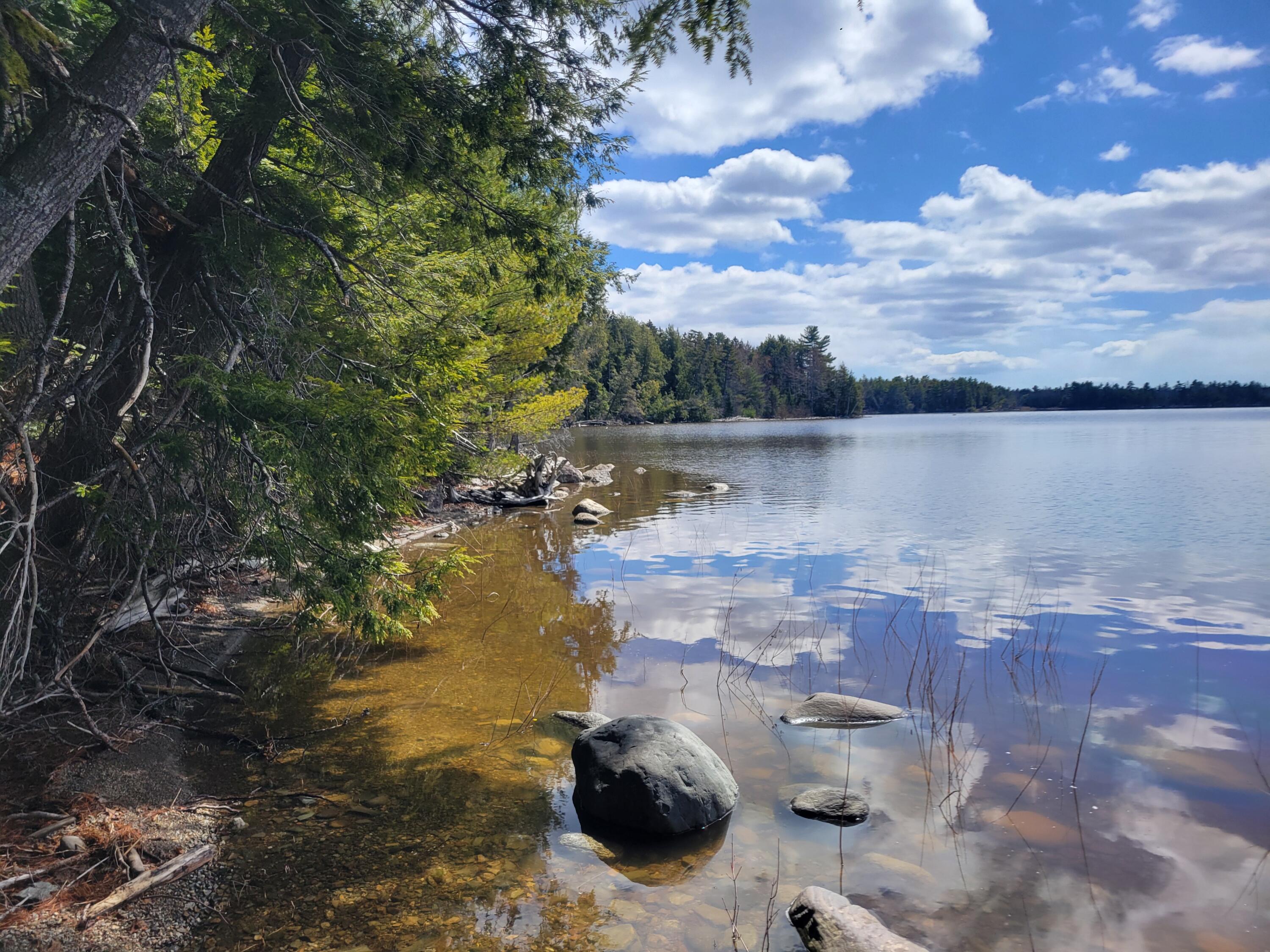 20 Moose Trail Waltham ME 04605