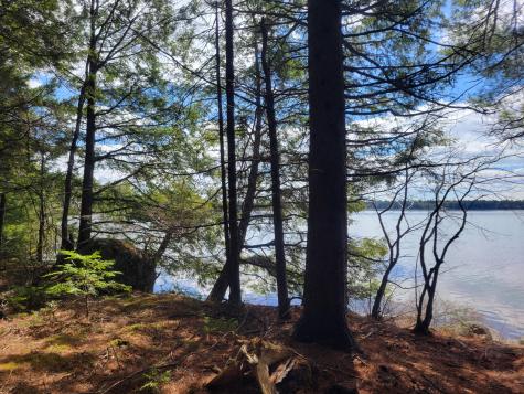 20 Moose Trail Waltham ME 04605