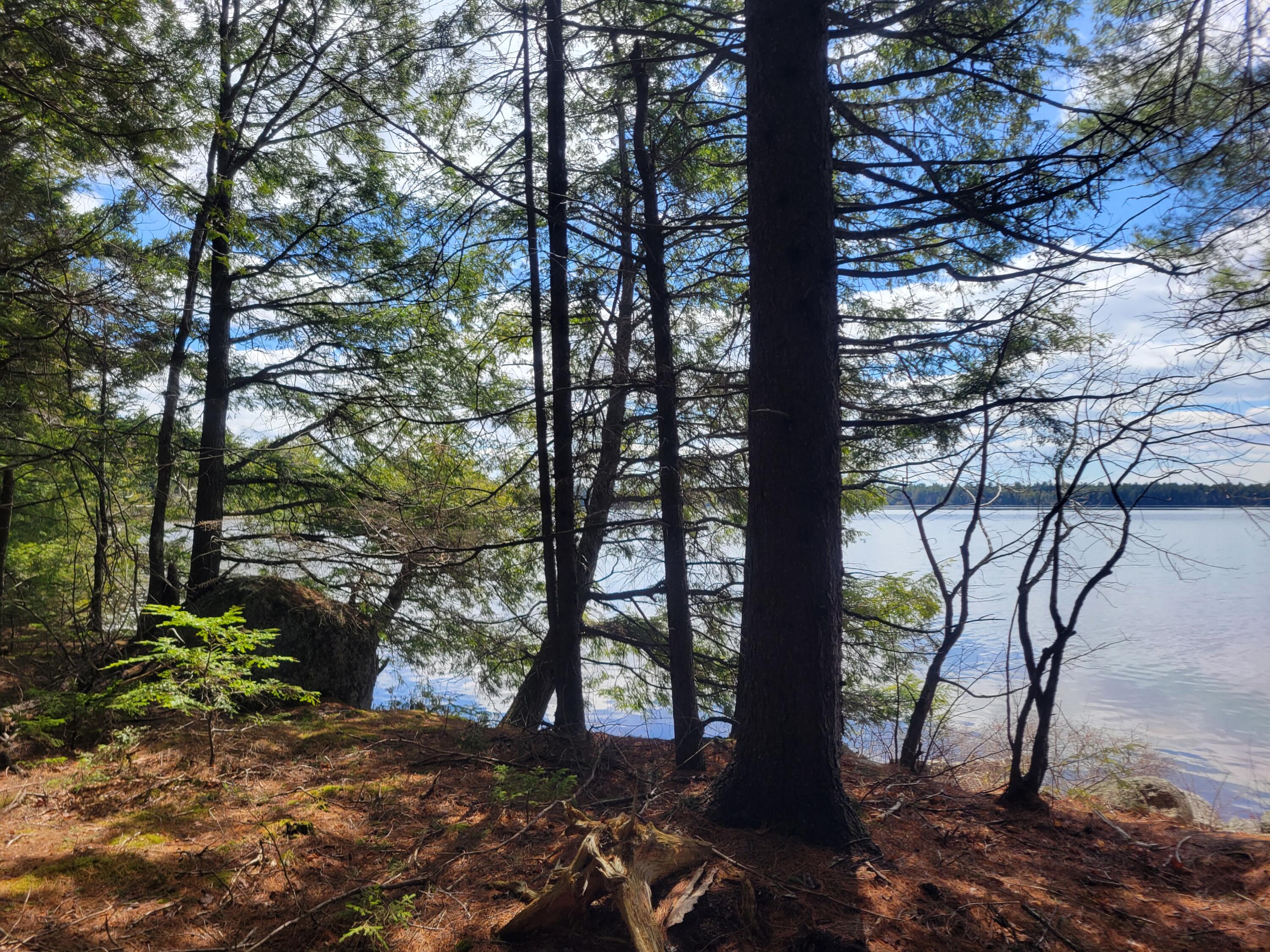 20 Moose Trail Waltham ME 04605
