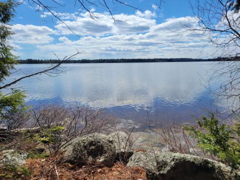 20 Moose Trail Waltham ME 04605