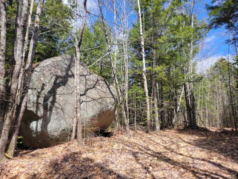 20 Moose Trail Waltham ME 04605