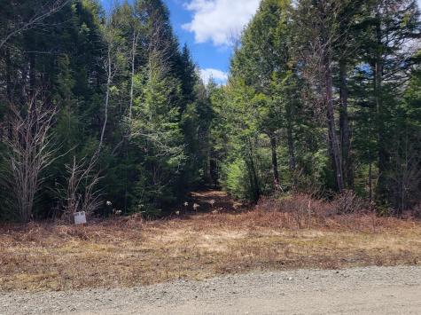 20 Moose Trail Waltham ME 04605