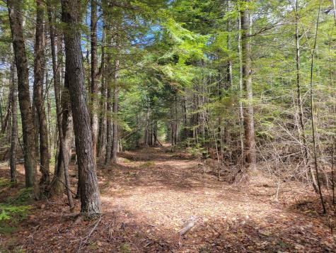 20 Moose Trail Waltham ME 04605