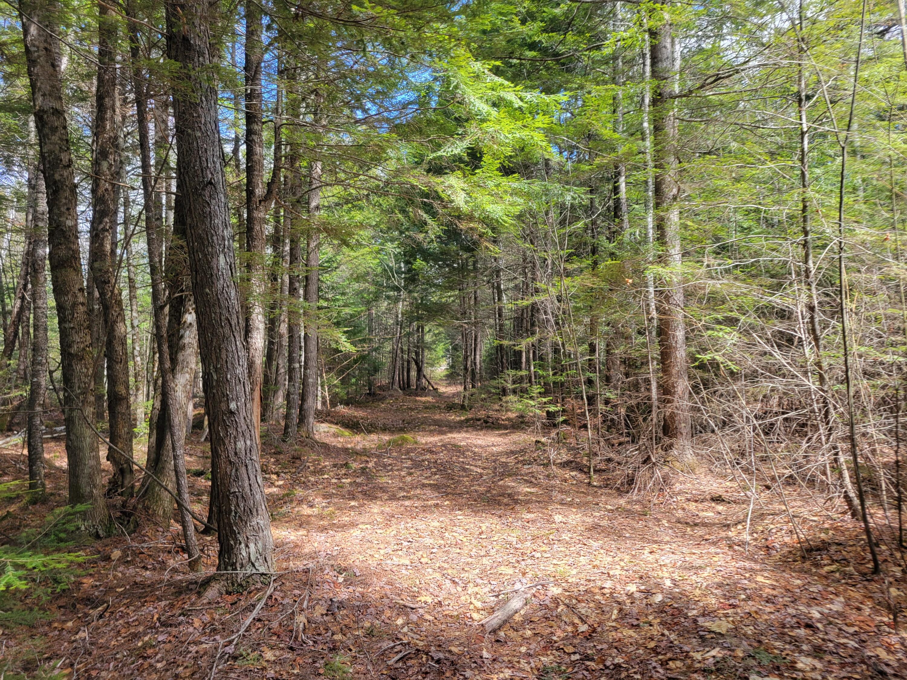 20 Moose Trail Waltham ME 04605
