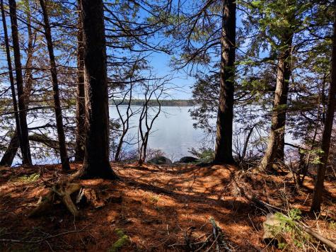 20 Moose Trail Waltham ME 04605