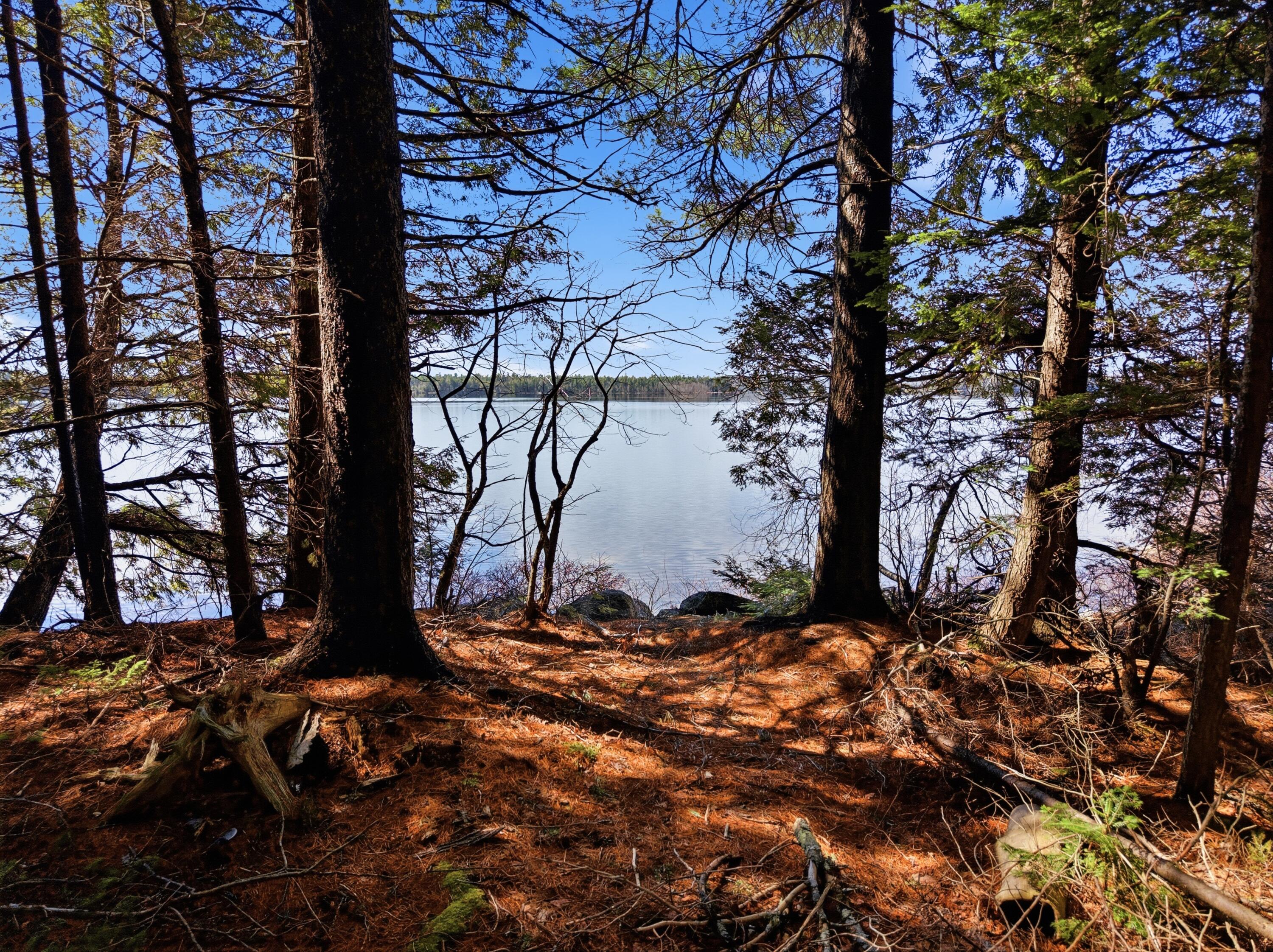20 Moose Trail Waltham ME 04605