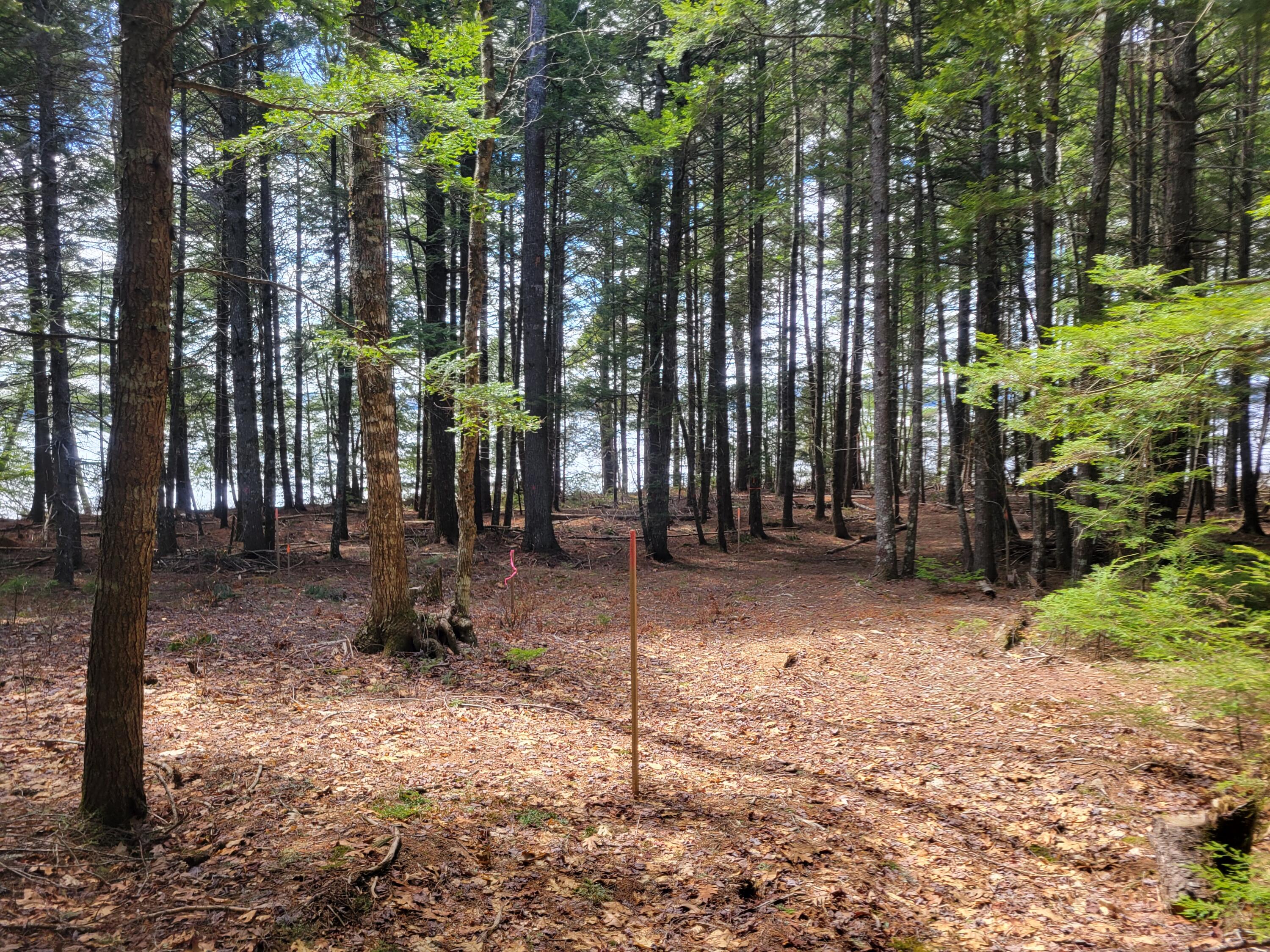 20 Moose Trail Waltham ME 04605