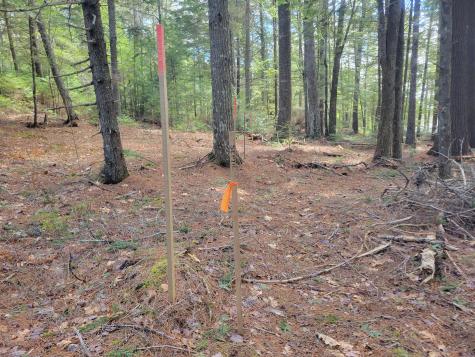 20 Moose Trail Waltham ME 04605