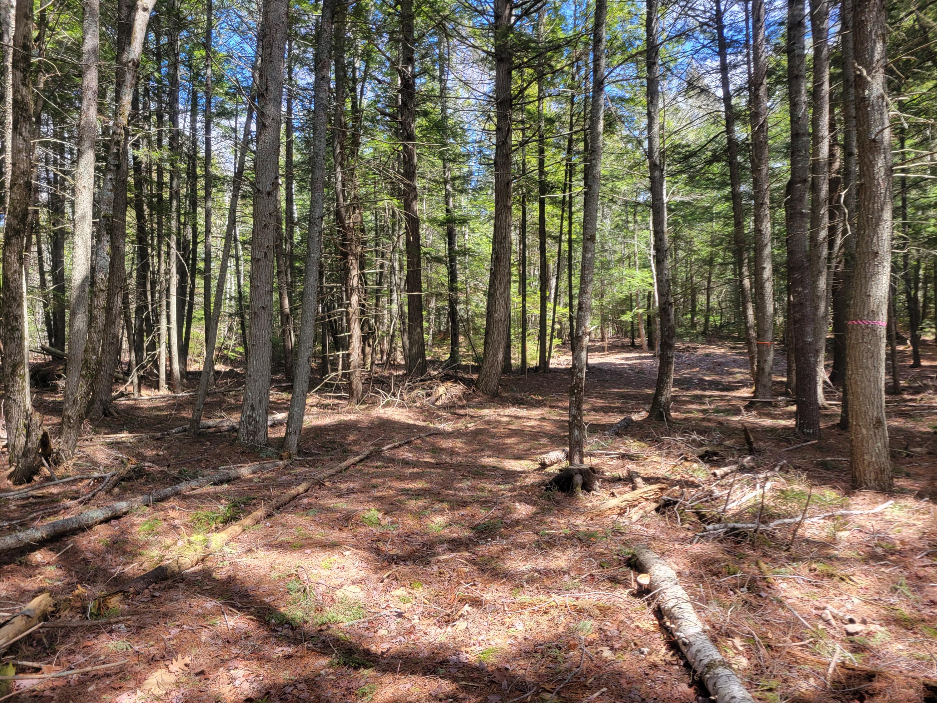 20 Moose Trail Waltham ME 04605