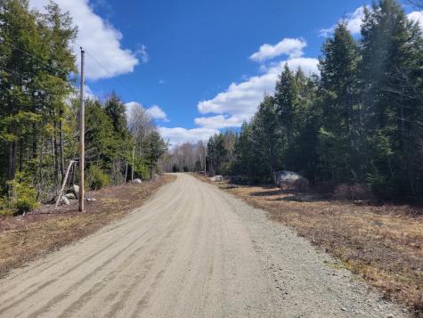 20 Moose Trail Waltham ME 04605