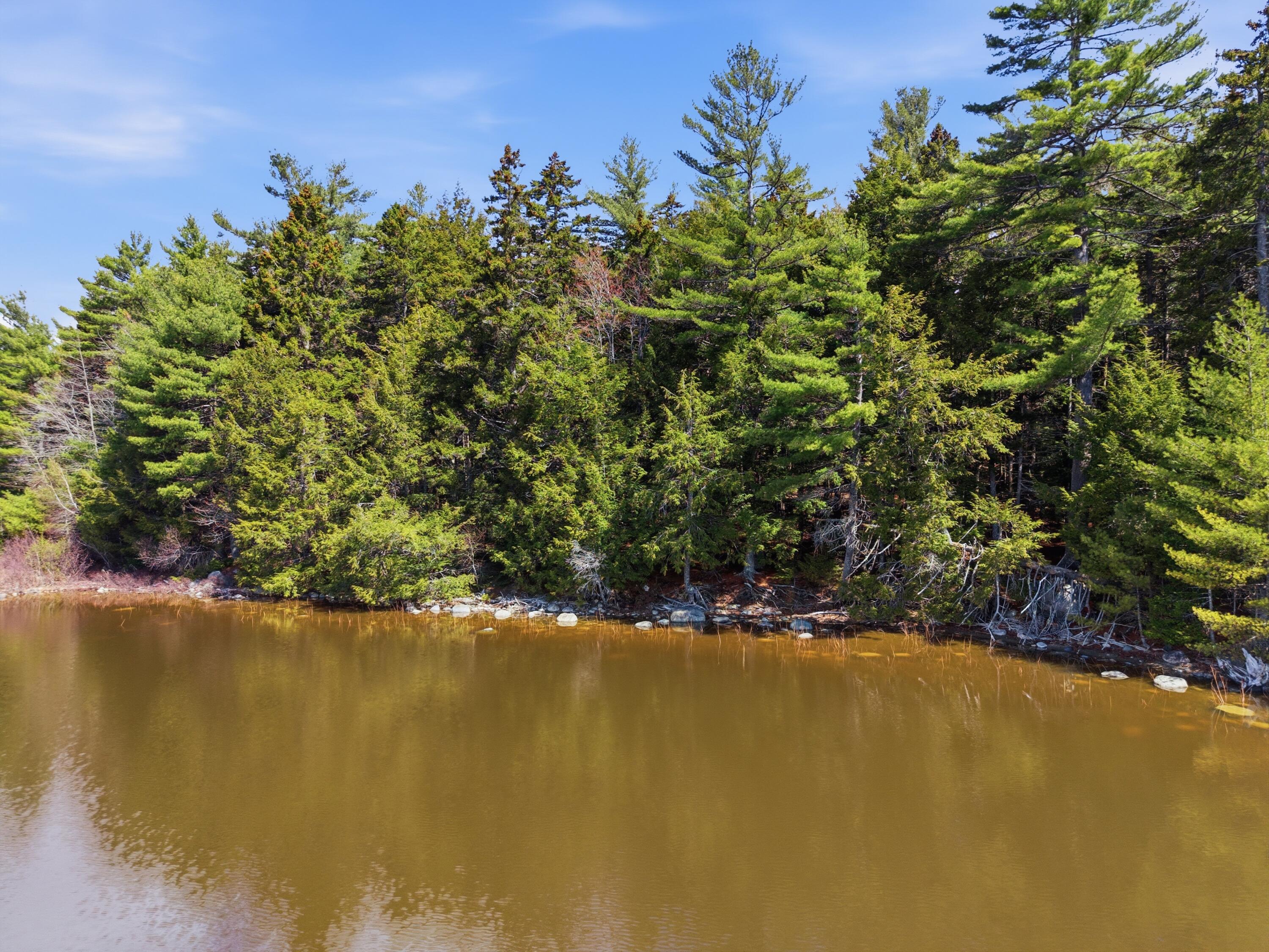 20 Moose Trail Waltham ME 04605