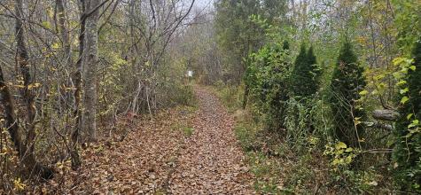 4 Surfore Road York ME 03909