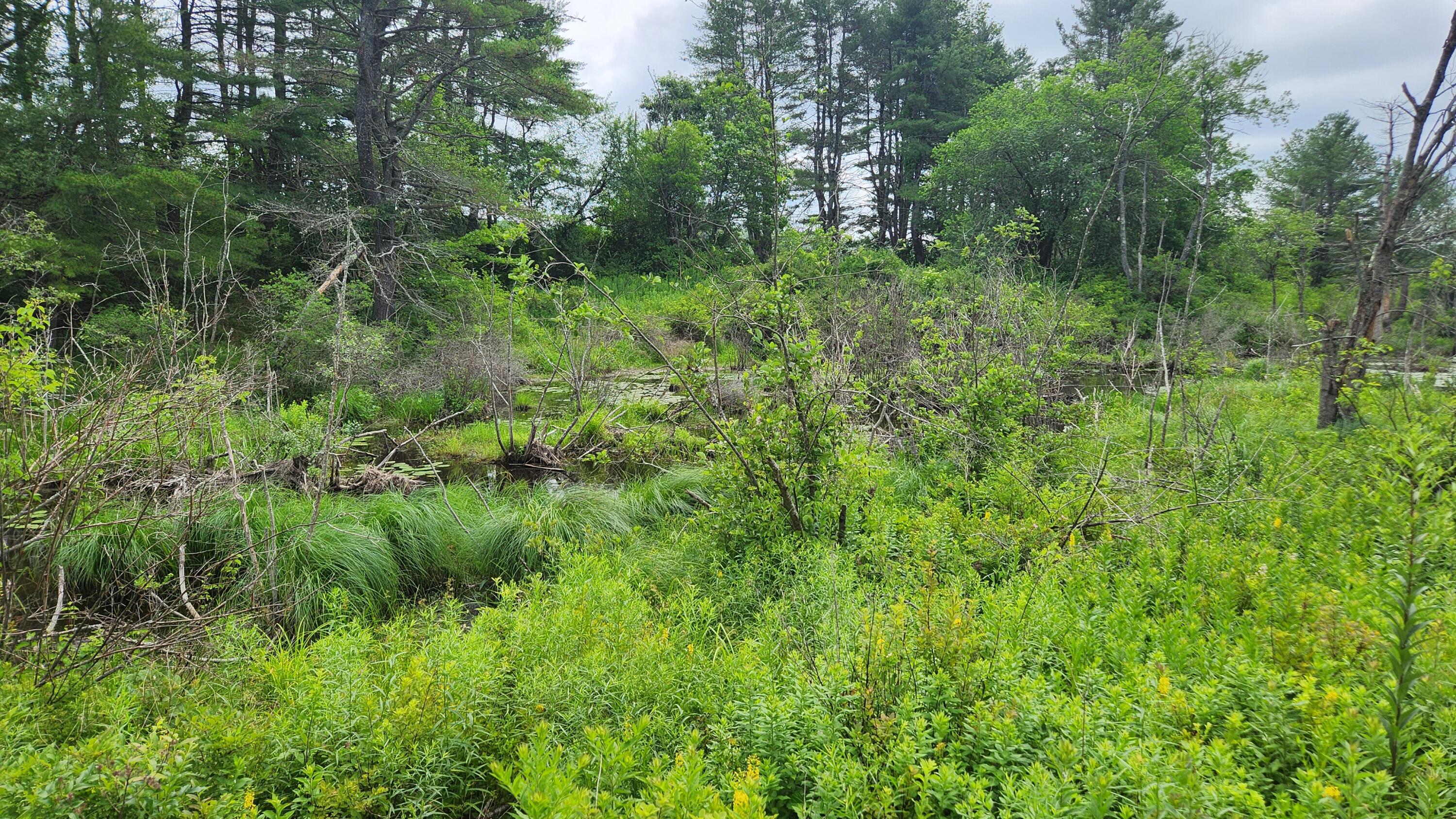 00 Dana Mill Road Woolwich ME 04579