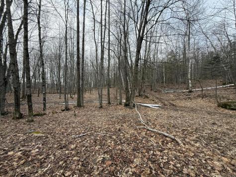 62 Grove Street Dexter ME 04930