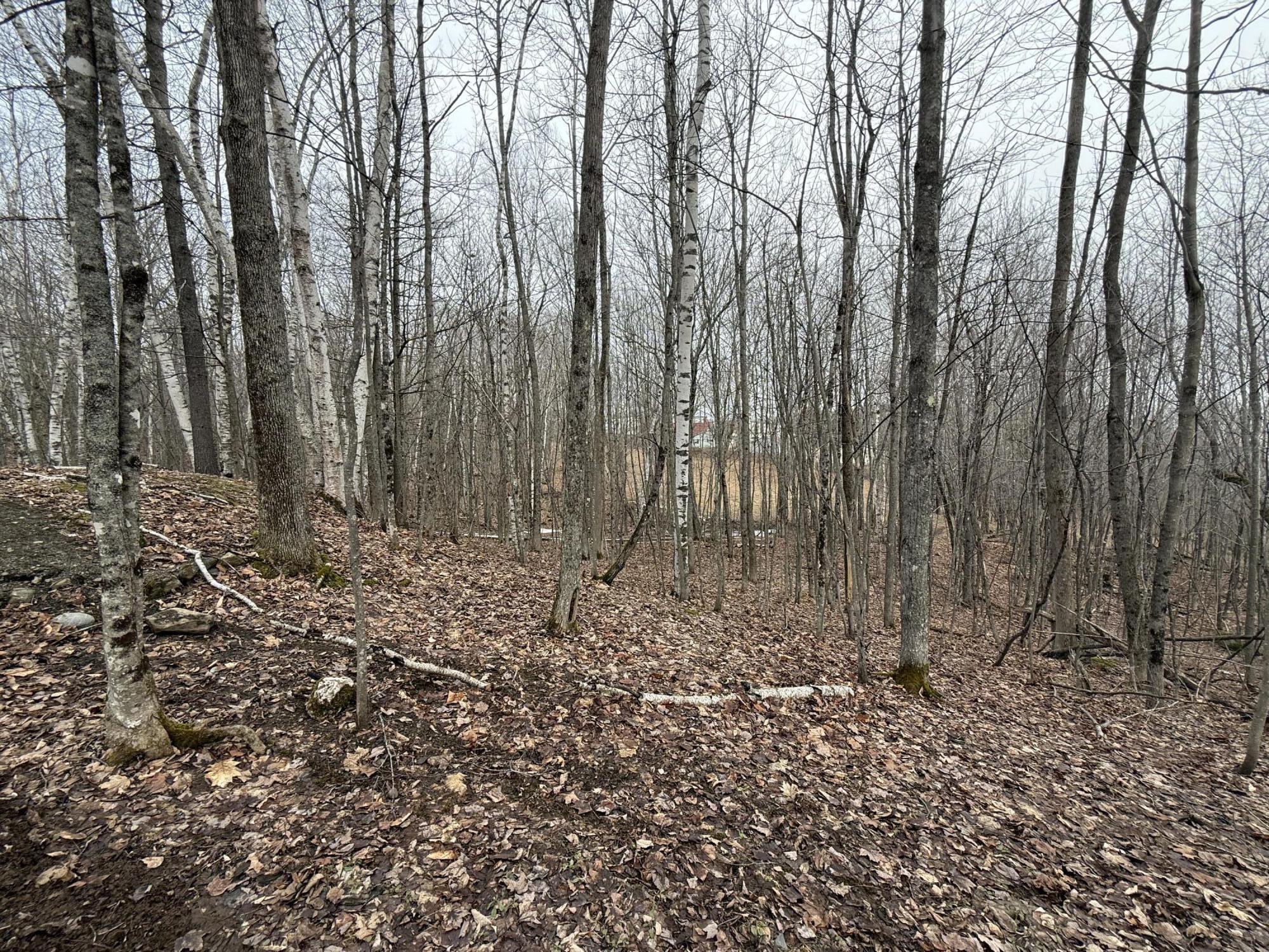 62 Grove Street Dexter ME 04930
