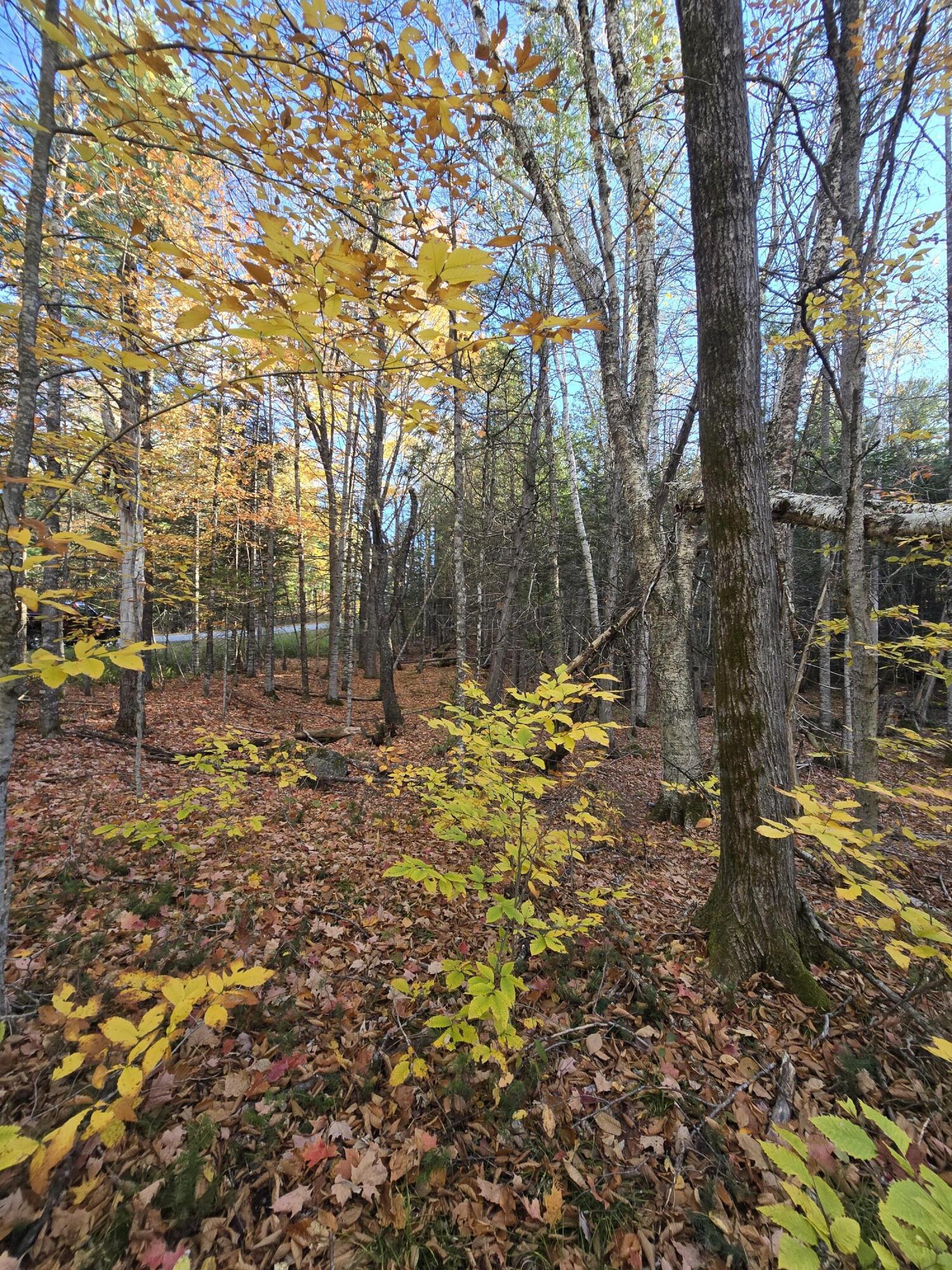 L49,50,53 Back Road Abbot ME 04406