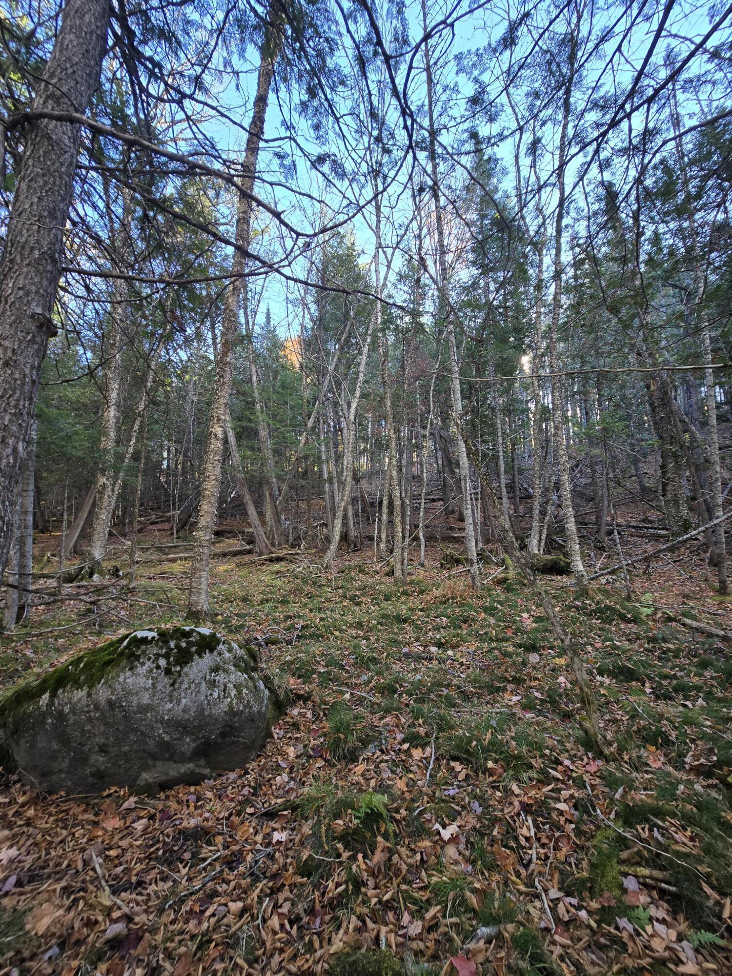 L49,50,53 Back Road Abbot ME 04406