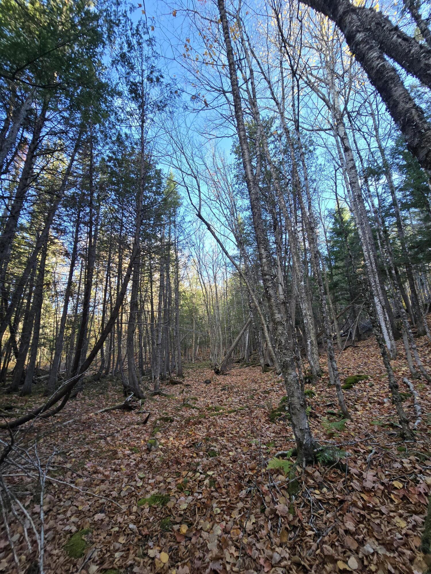 L49,50,53 Back Road Abbot ME 04406