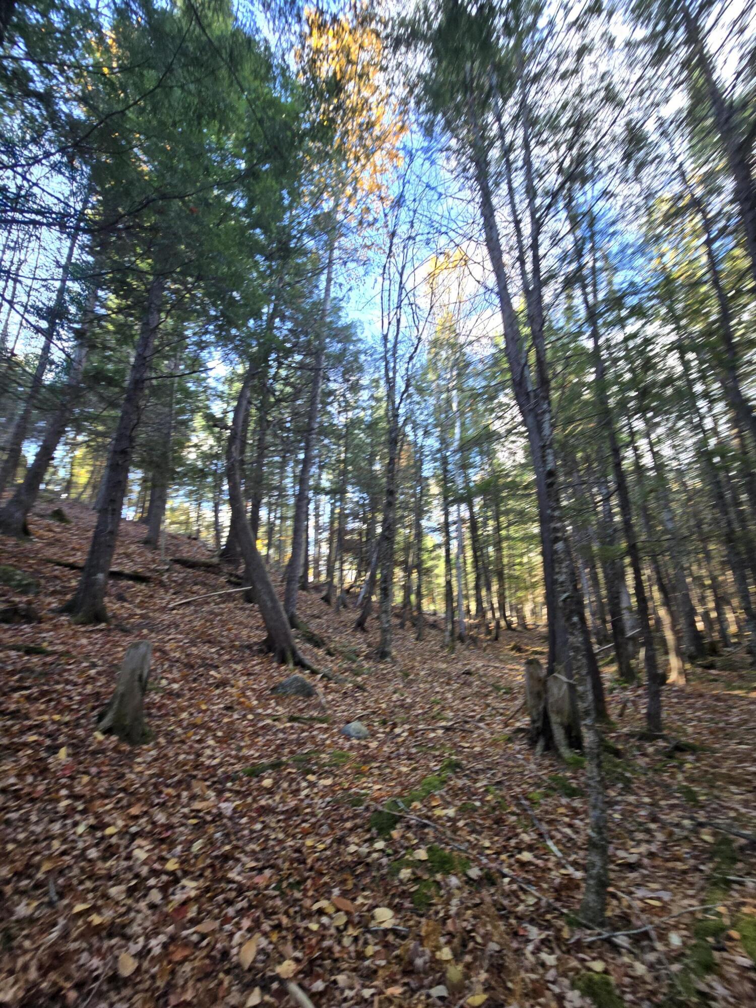 L49,50,53 Back Road Abbot ME 04406