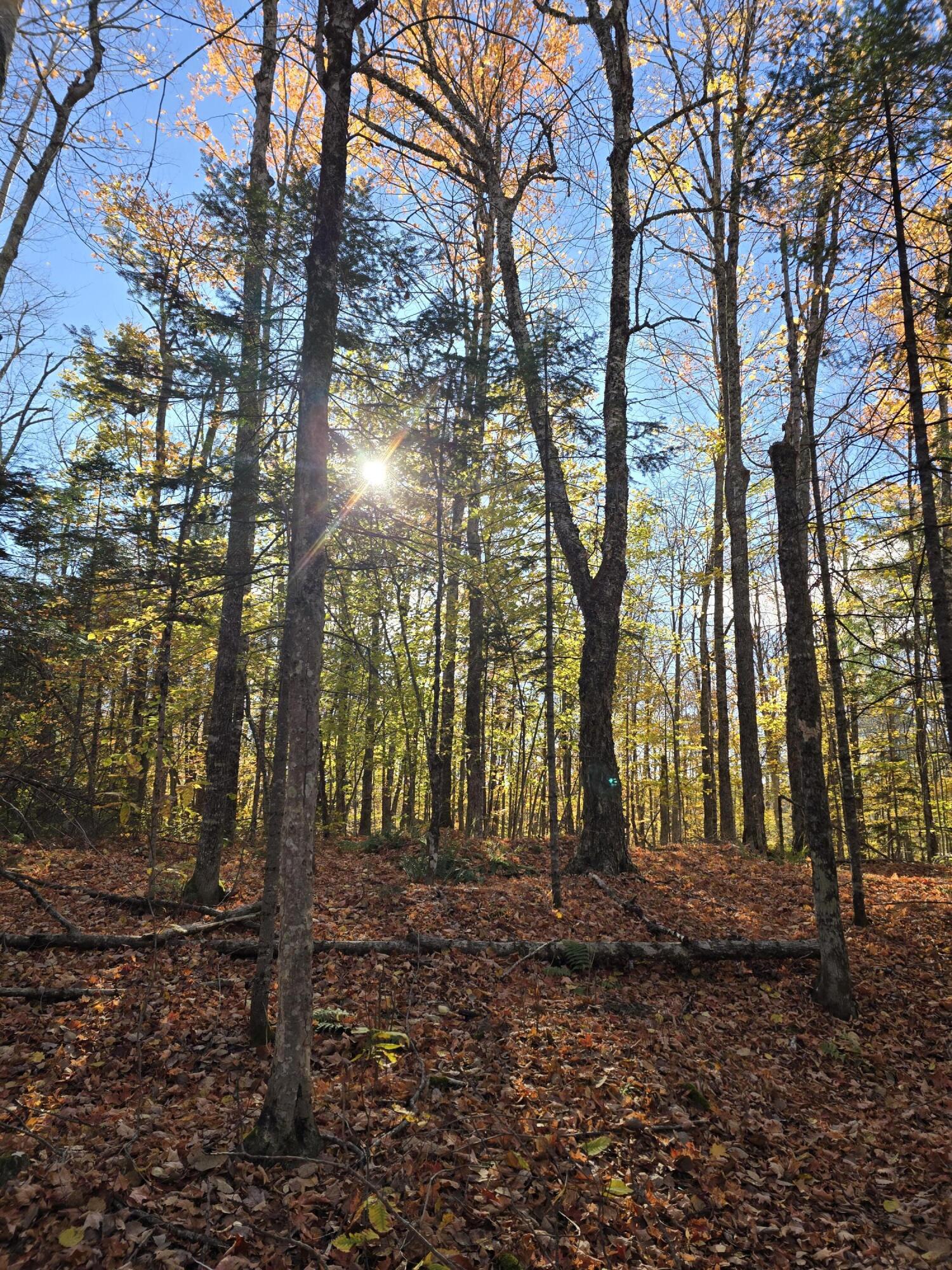 L49,50,53 Back Road Abbot ME 04406