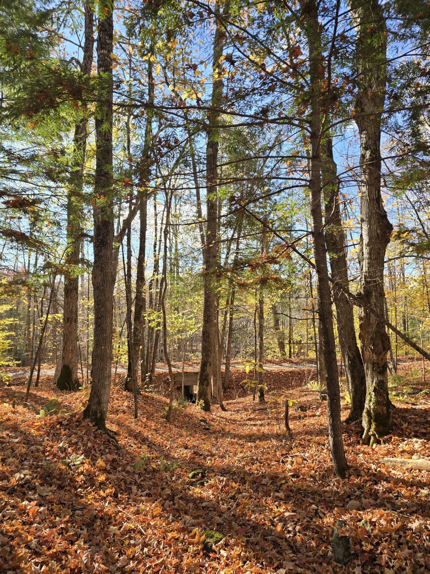 L49,50,53 Back Road Abbot ME 04406