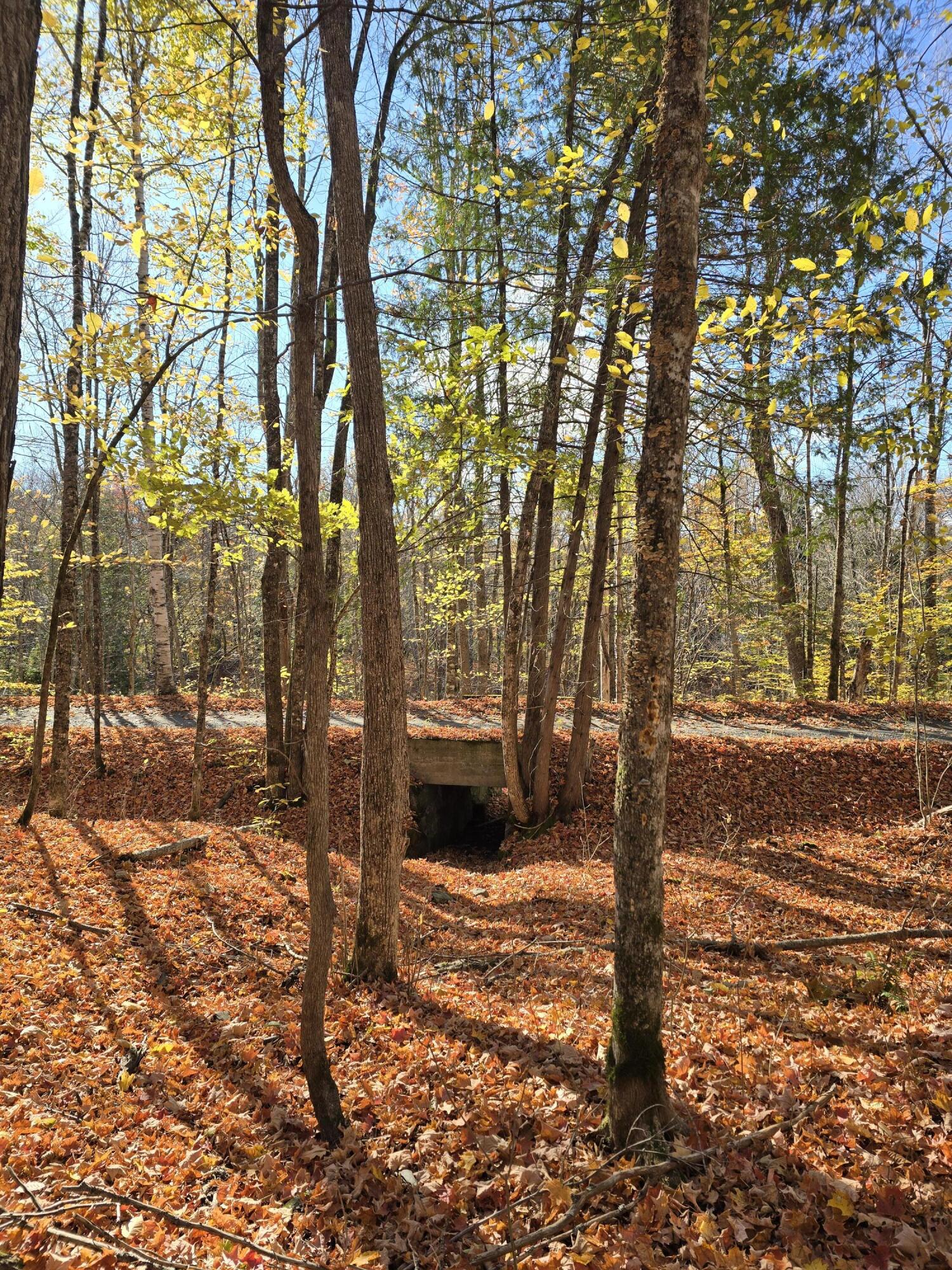 L49,50,53 Back Road Abbot ME 04406