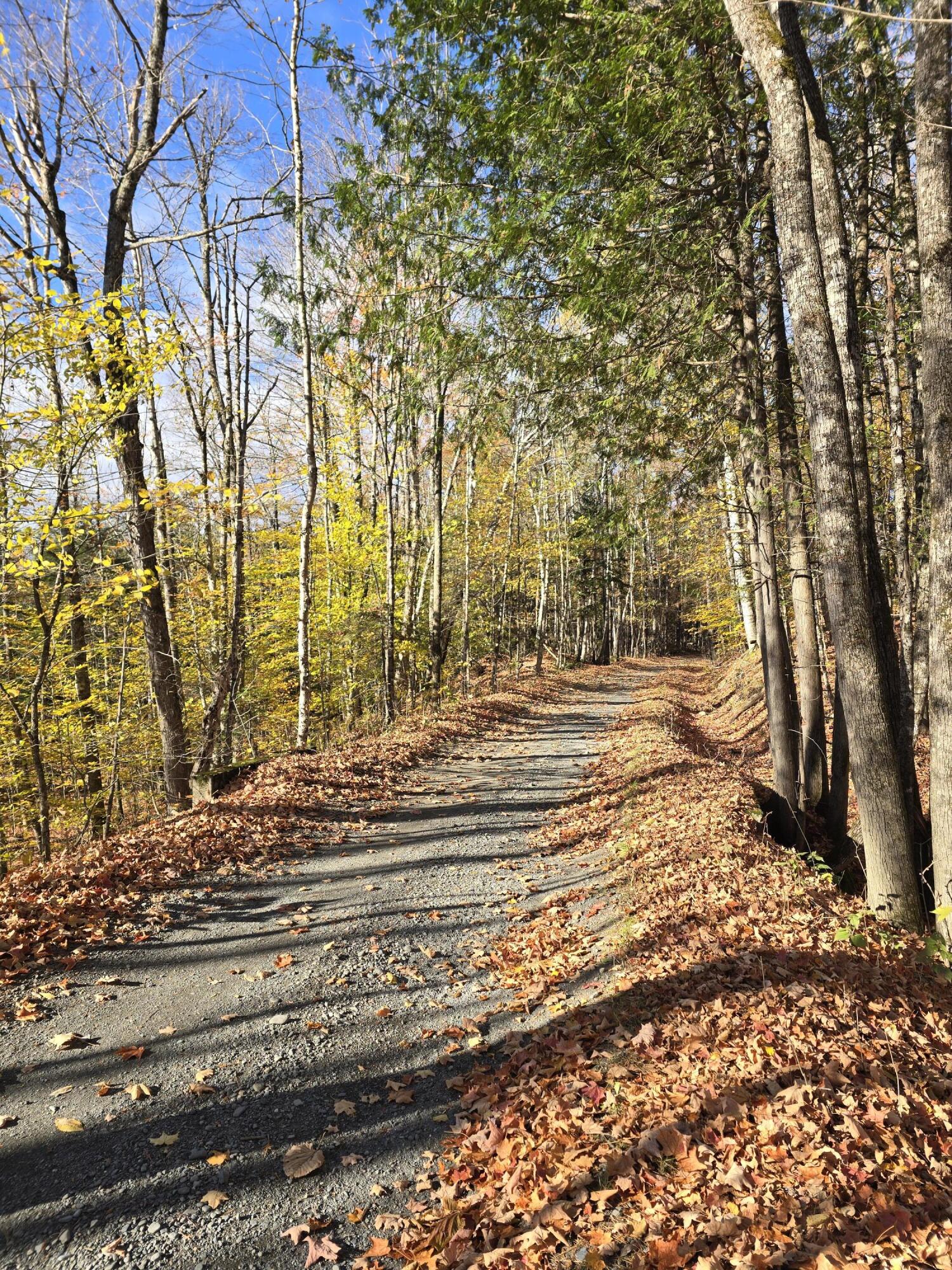 L49,50,53 Back Road Abbot ME 04406