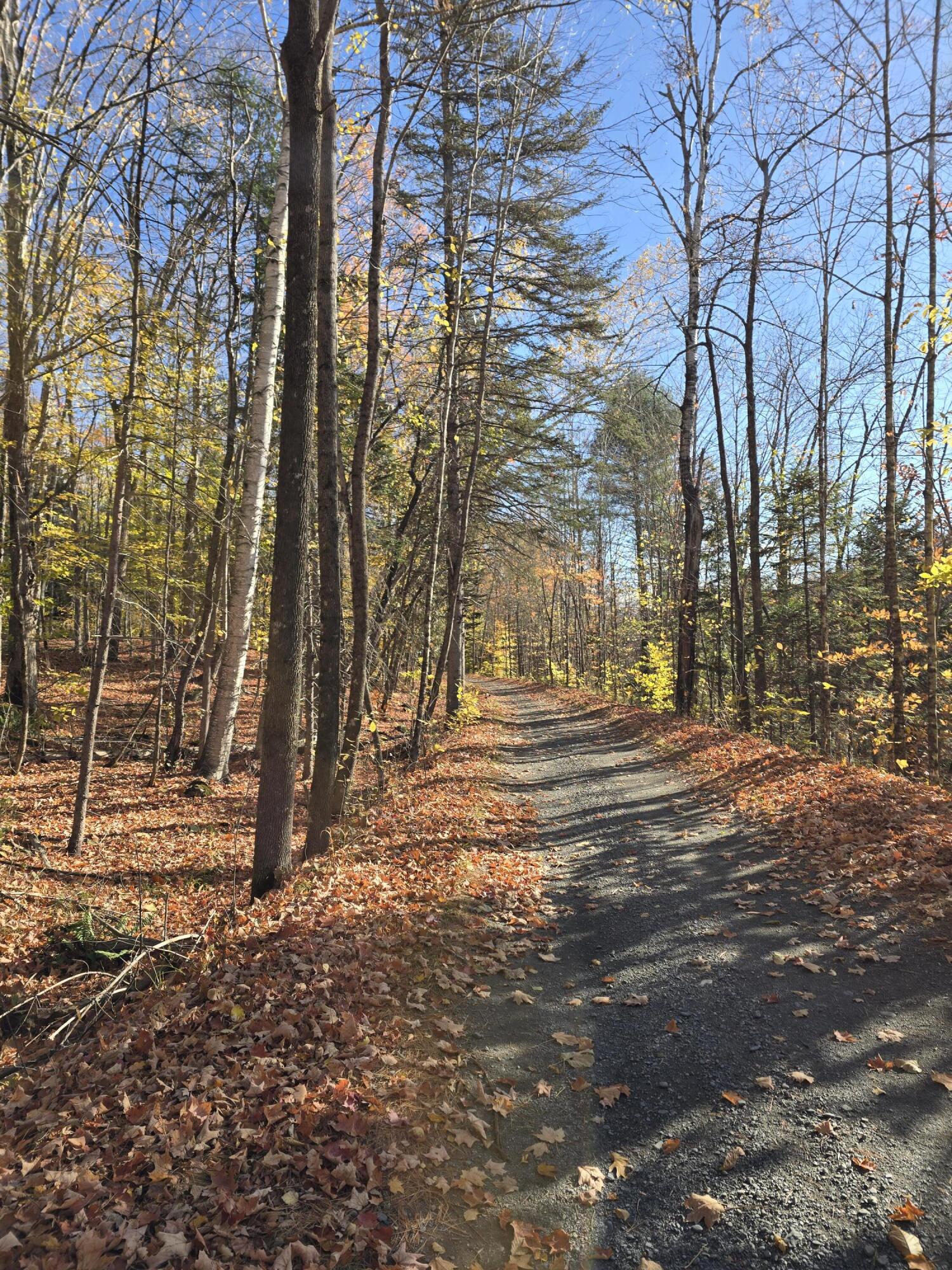 L49,50,53 Back Road Abbot ME 04406