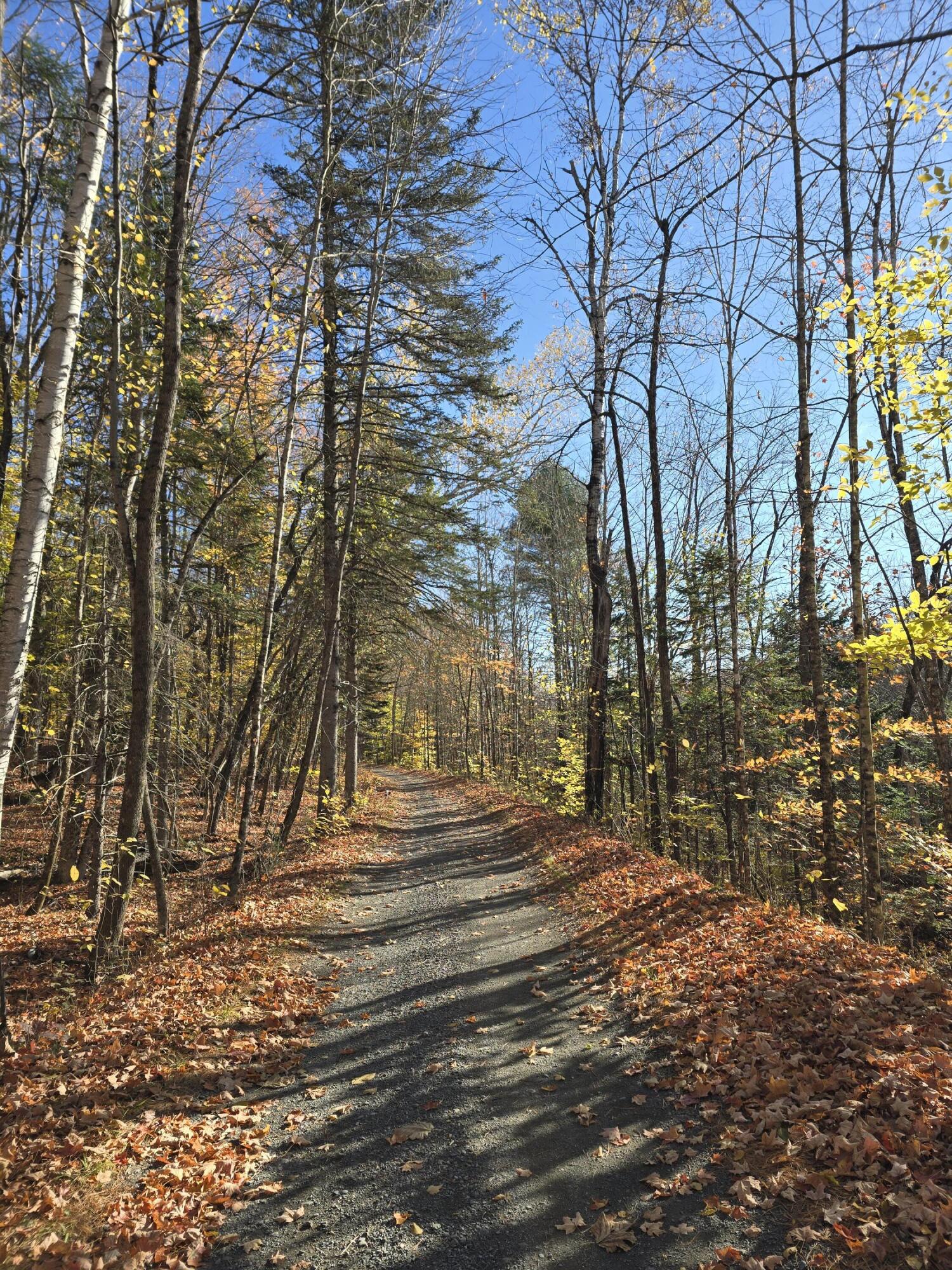 L49,50,53 Back Road Abbot ME 04406