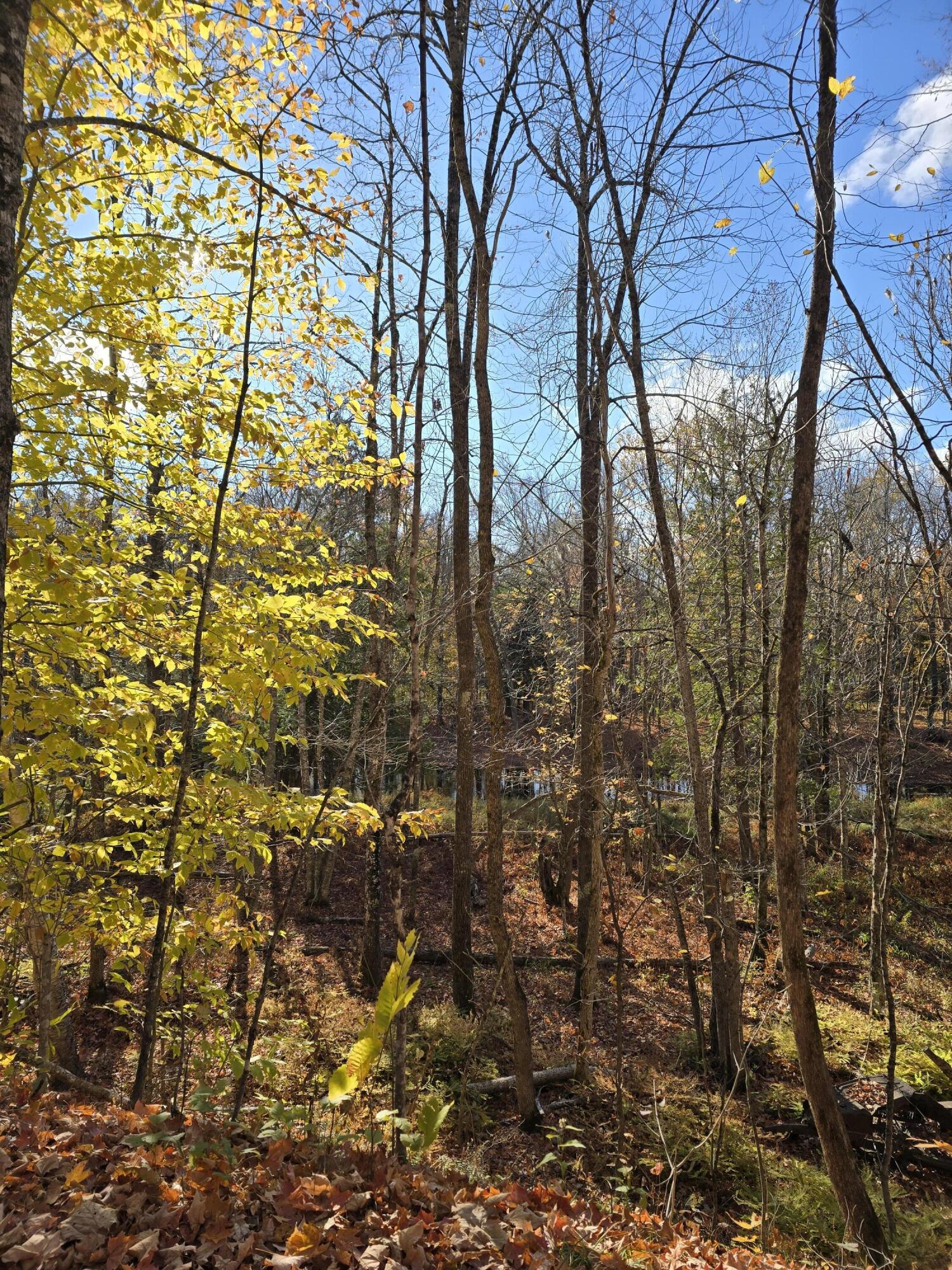 L49,50,53 Back Road Abbot ME 04406