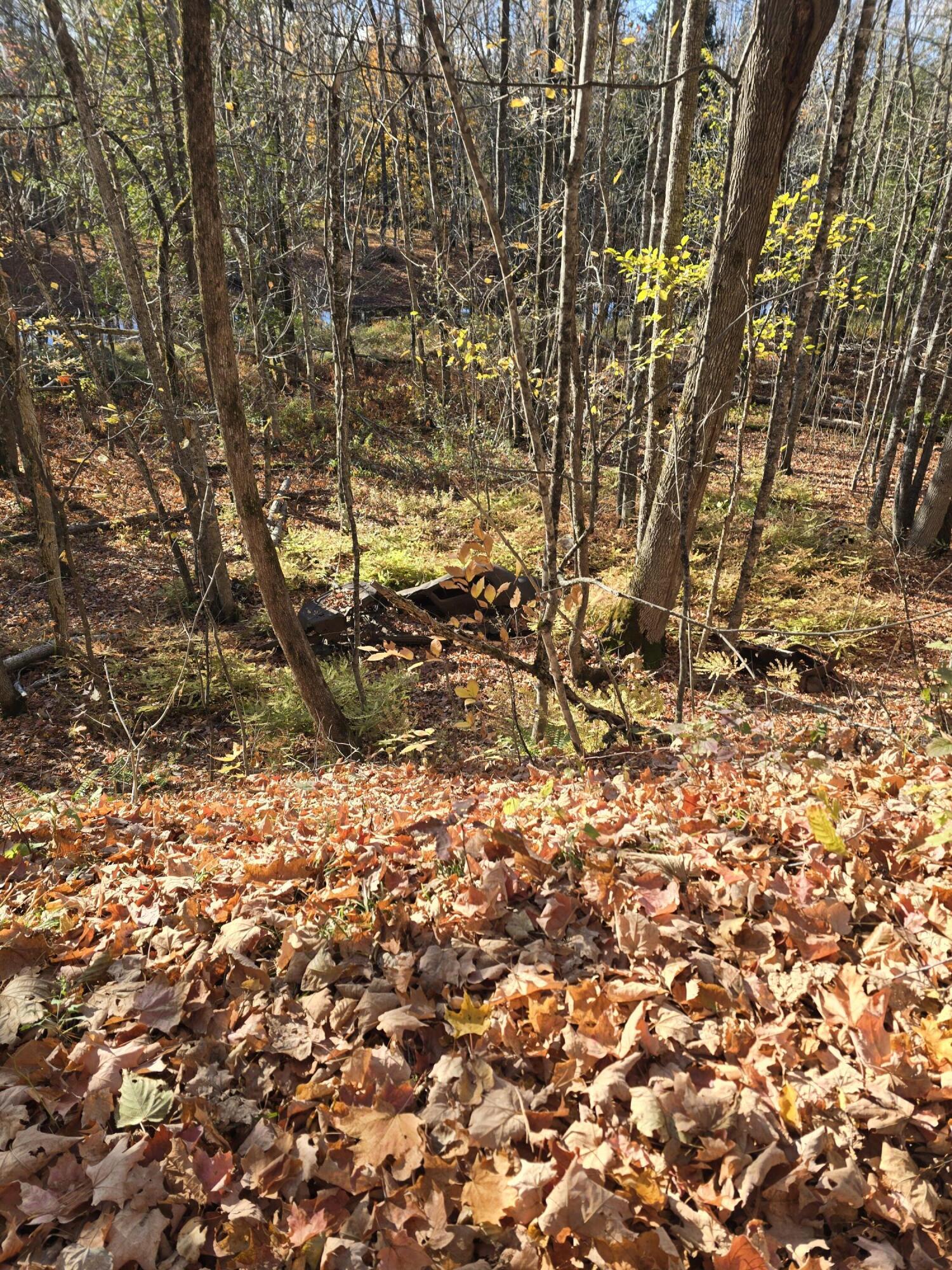 L49,50,53 Back Road Abbot ME 04406