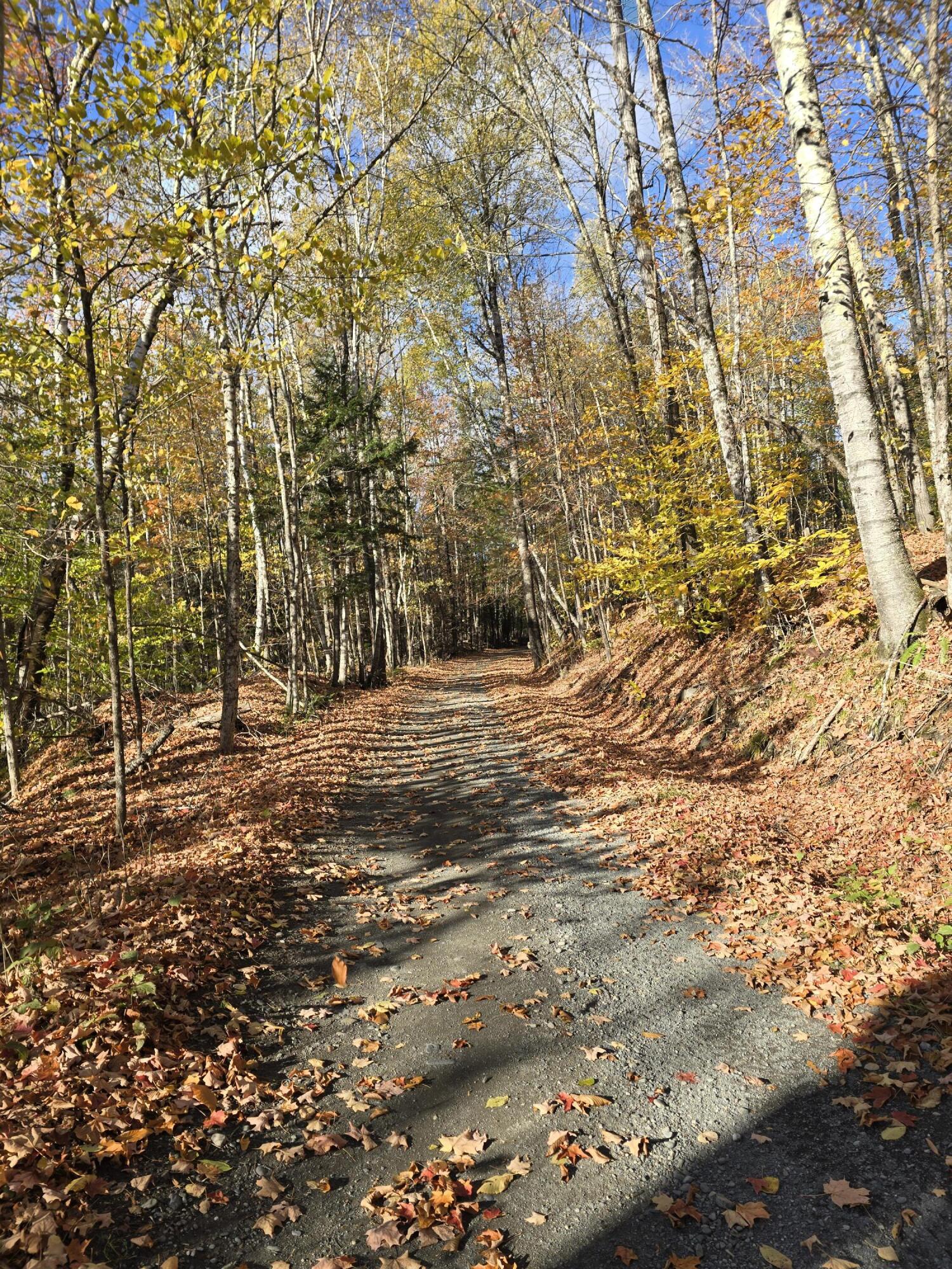 L49,50,53 Back Road Abbot ME 04406