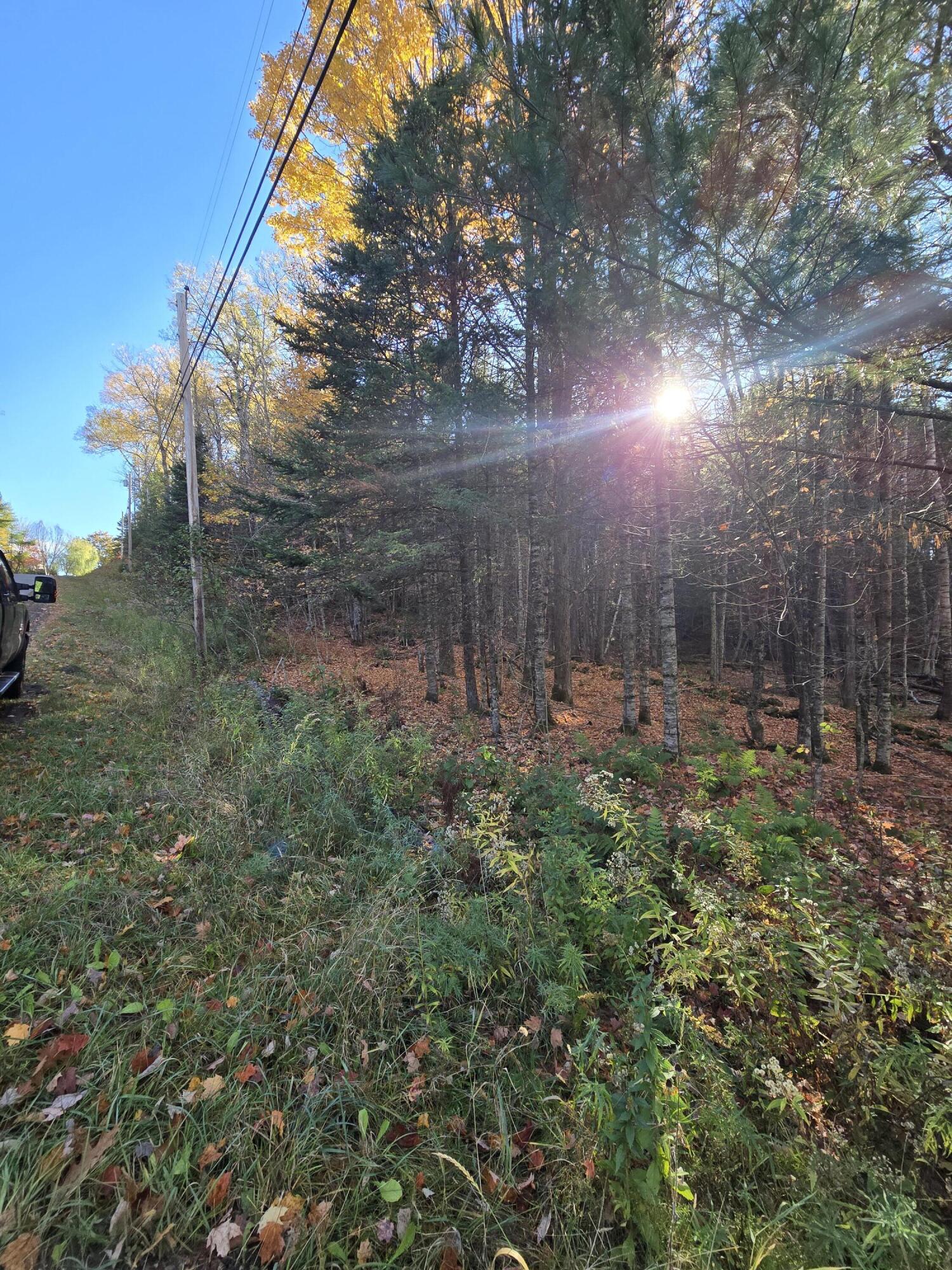 L49,50,53 Back Road Abbot ME 04406