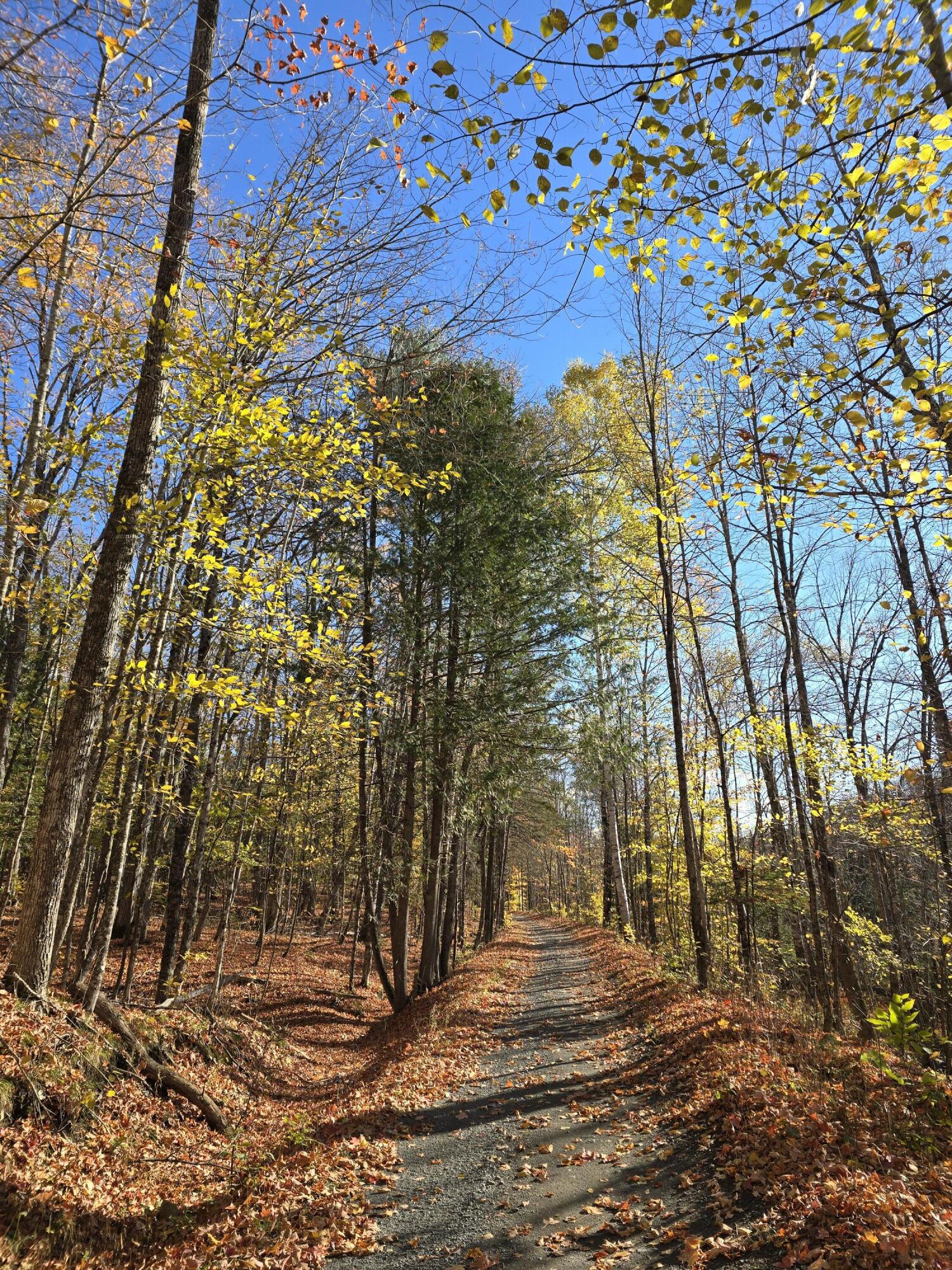 L49,50,53 Back Road Abbot ME 04406