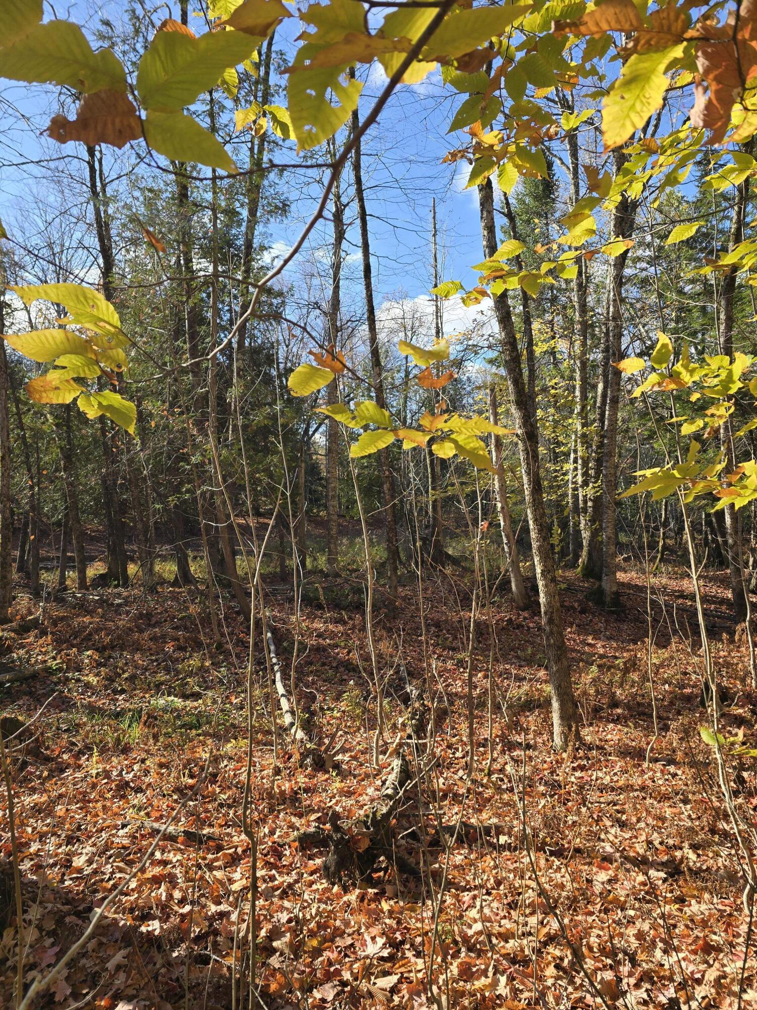 L49,50,53 Back Road Abbot ME 04406