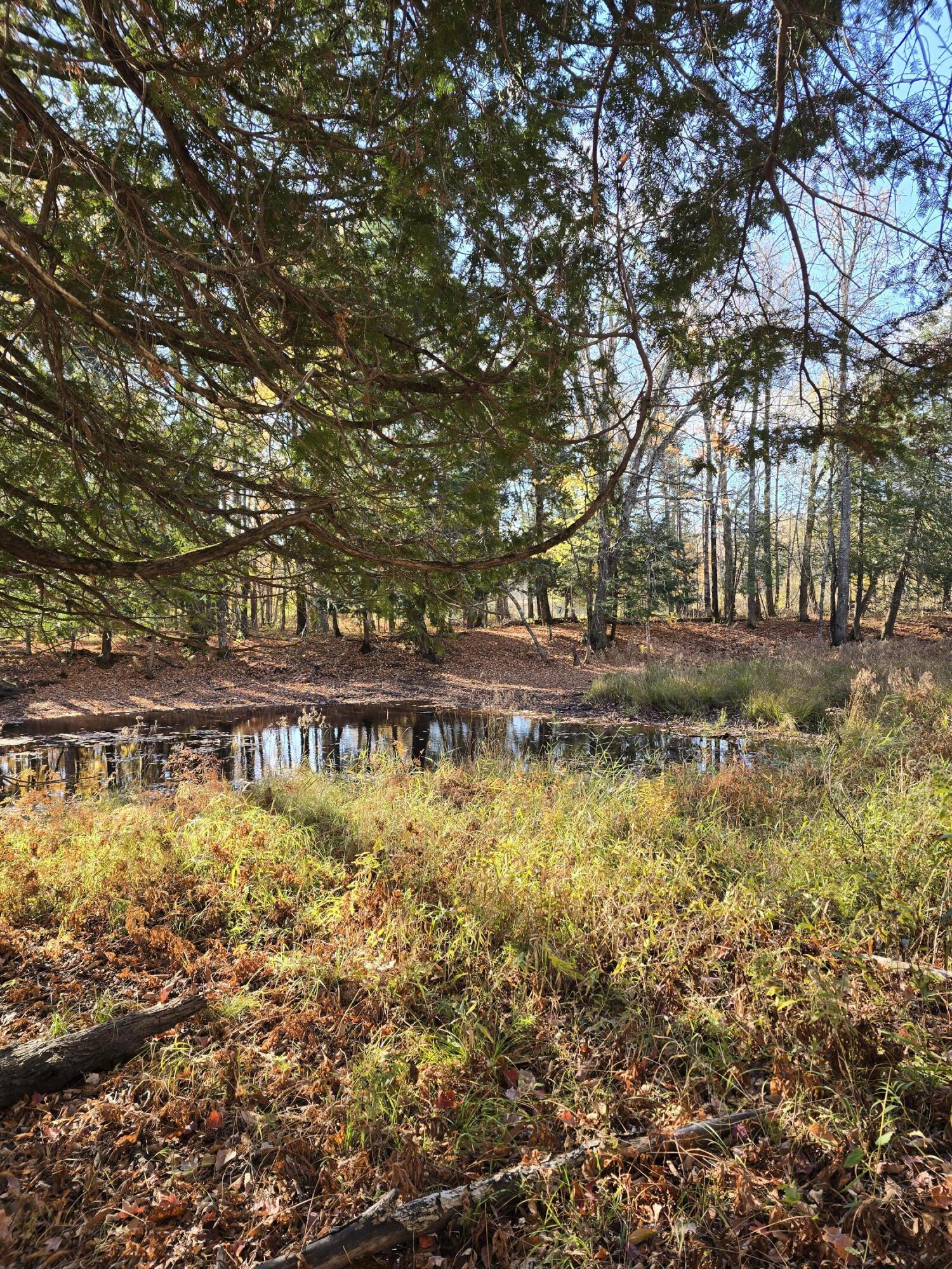 L49,50,53 Back Road Abbot ME 04406