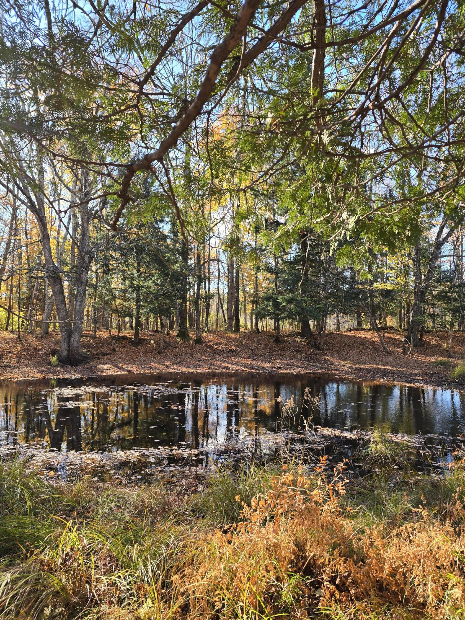 L49,50,53 Back Road Abbot ME 04406