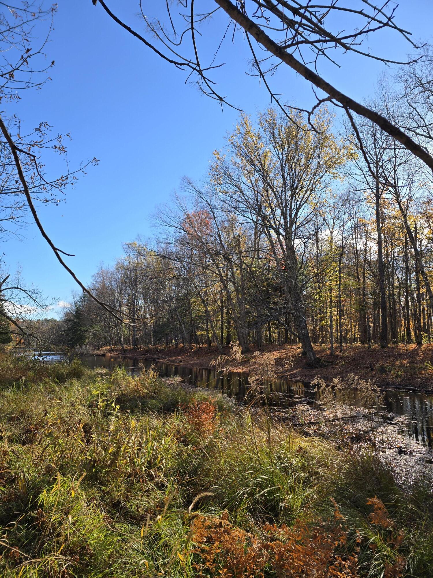 L49,50,53 Back Road Abbot ME 04406