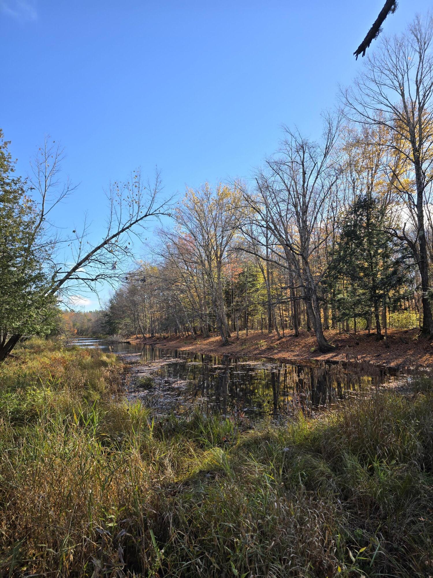 L49,50,53 Back Road Abbot ME 04406